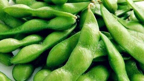 Edamame